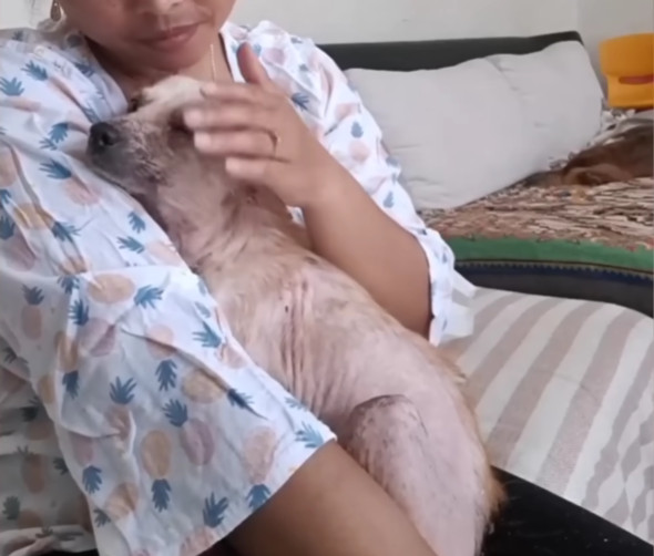 A month into her recovery, veterinarians...