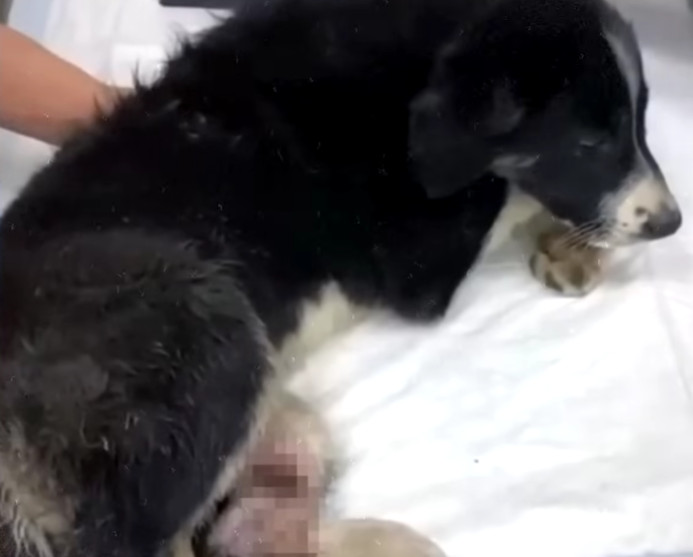 Several months later, Adam managed to ta...