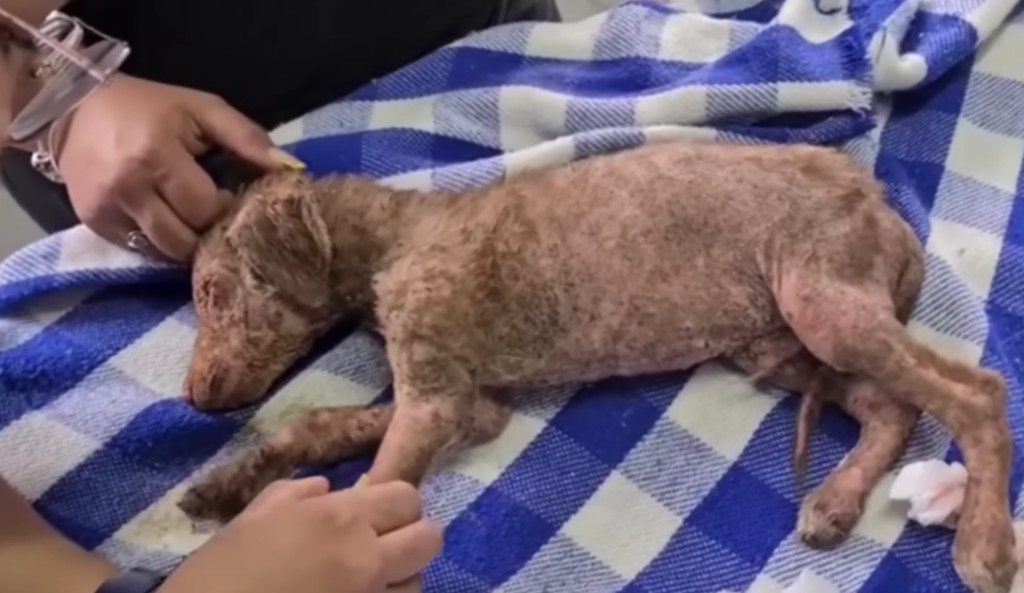 Two days later, the doctors shared some ...