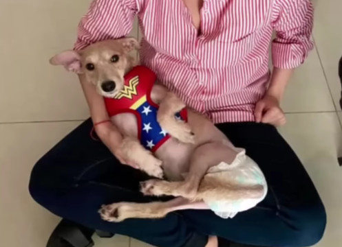 Extra image from article