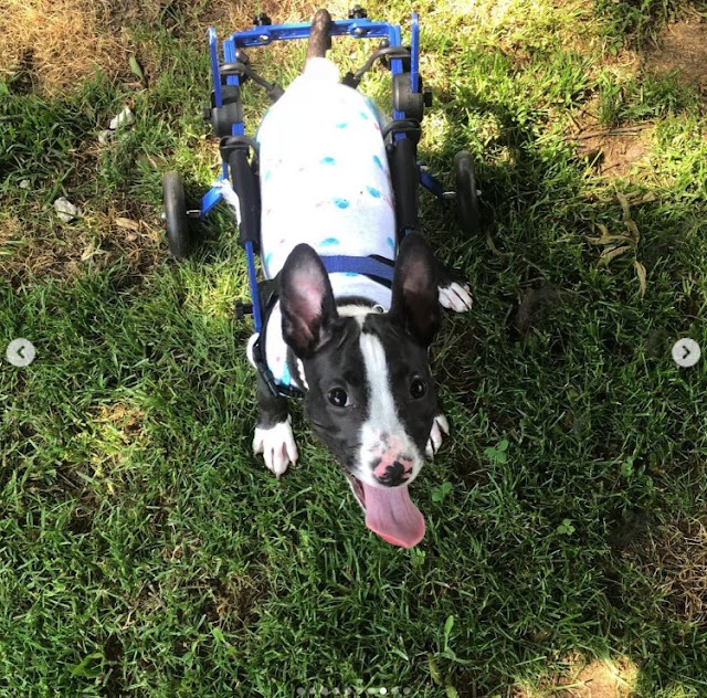 Extra image from article