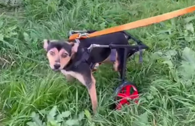 Her enchanting eyes spoke volumes of her...