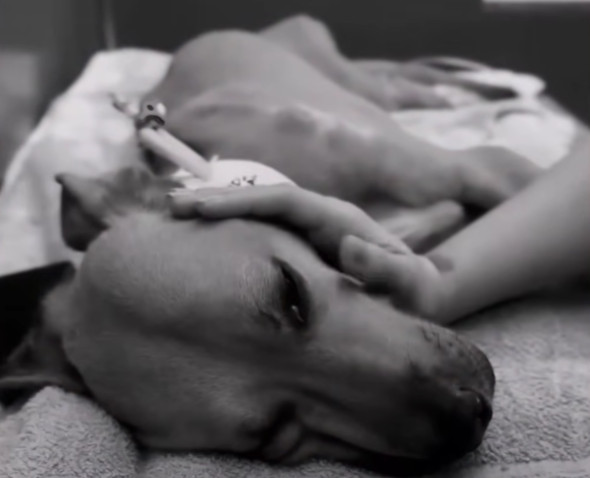 Mate's departure leaves an indelible sen...