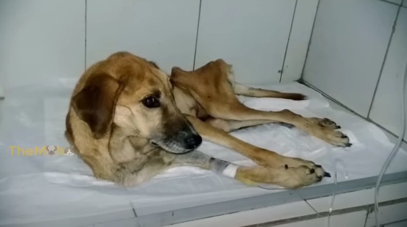 Progress was gradual, but noticeable, as...