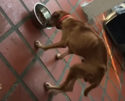 Today, Octavio thrives as a vibrant and ...