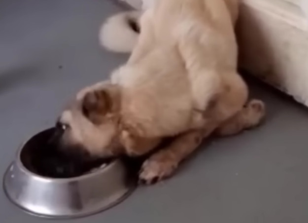 This heartfelt journey underscores the p...