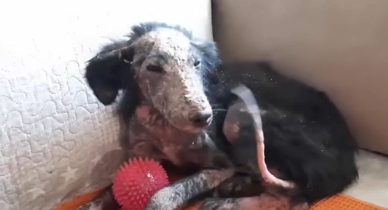 Extra image from article