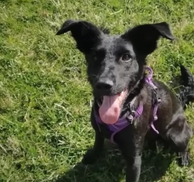 Extra image from article