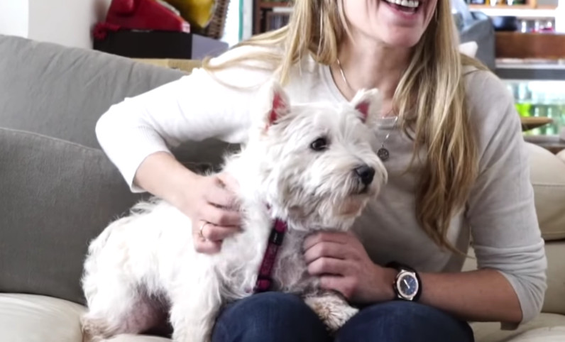 Extra image from article