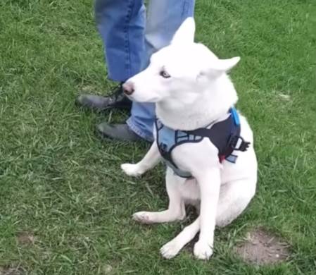 Thanks to the dedication of a nurturing ...