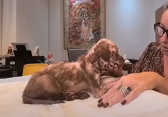 Extra image from article