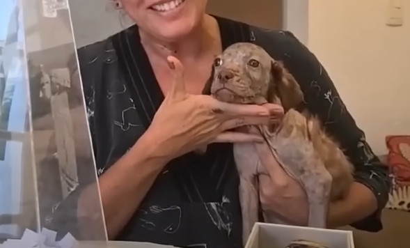 Extra image from article