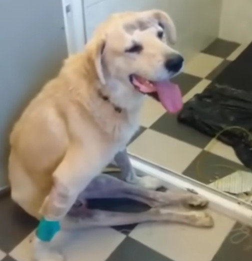 Extra image from article