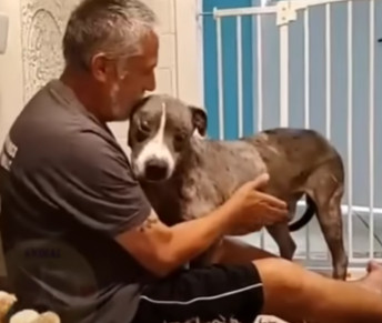 Eventually, Elijah was strong enough to ...