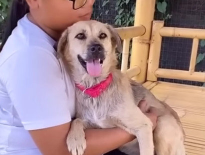 Living a life free from pain and fear, L...