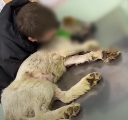 With preparations complete, the rescue e...