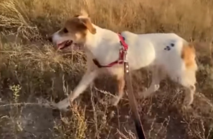 Extra image from article