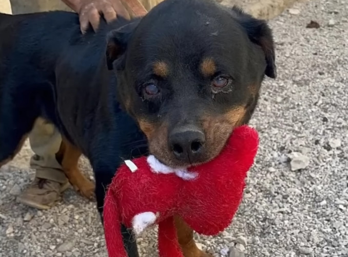 Despite bearing the scars of his past, C...