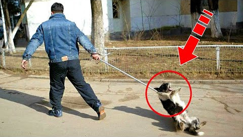 Faced with prolonged neglect and limited...