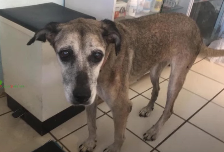 Prince's story eventually reached many e...