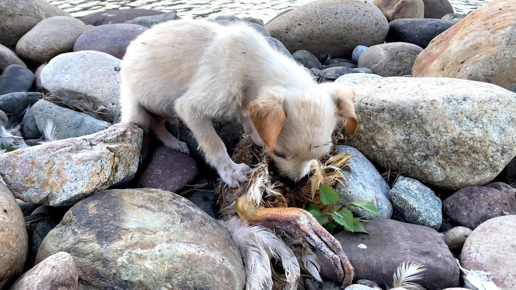 Moved by empathy, I intervened in an att...