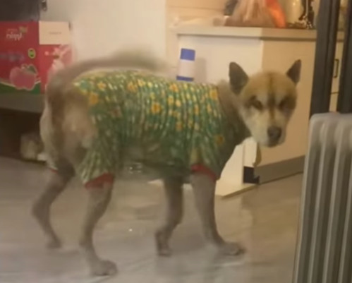 Extra image from article