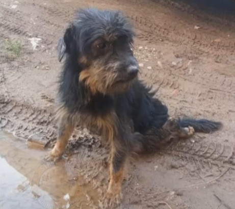 In the days that followed, I remained by...