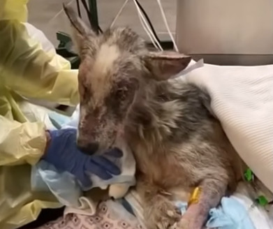 Jake’s transformation from a life of neg...