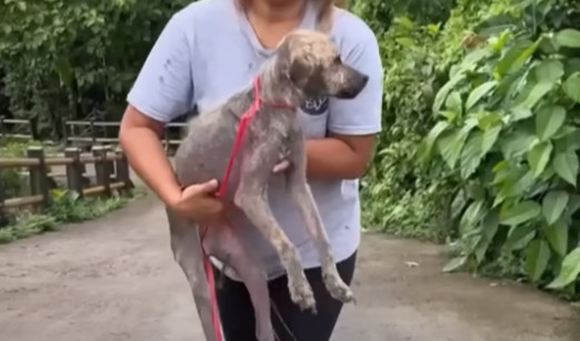 Extra image from article