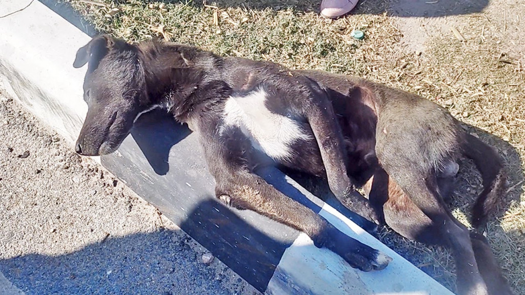 During the drive, a hopeful sign emerged...