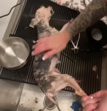 The cruelty inflicted upon Glory is deep...