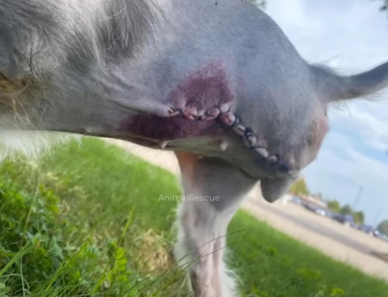 Extra image from article