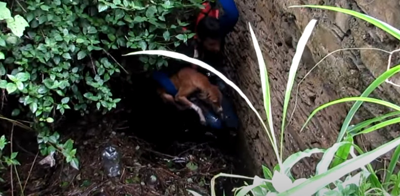 This act of compassion marked a pivotal ...