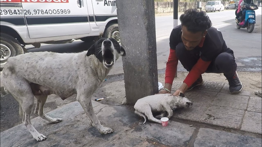We promised her we would do everything p...