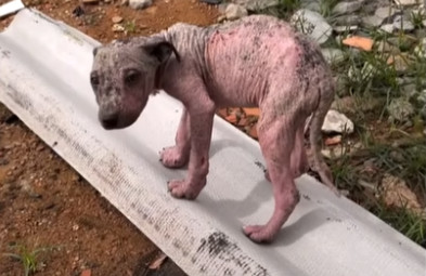 Despite the severity of his condition, P...