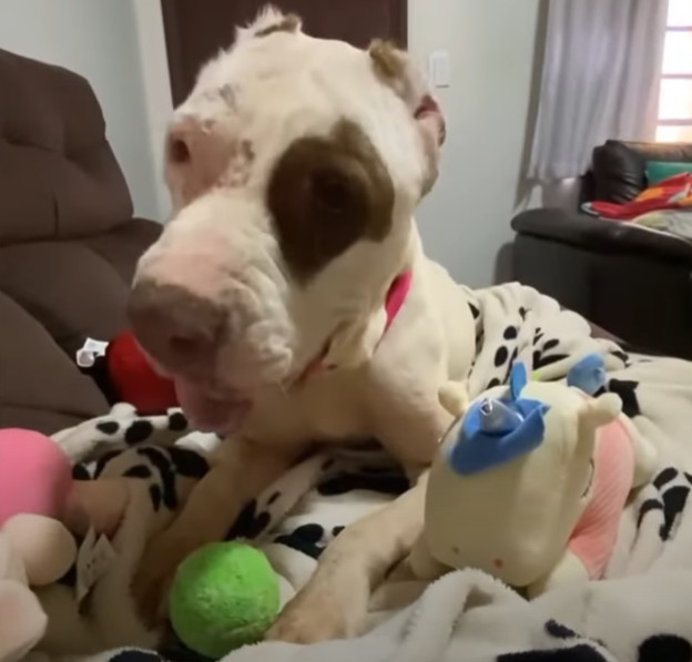 Extra image from article