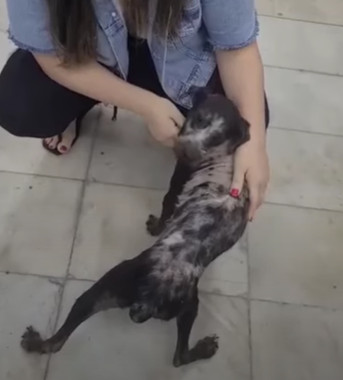 Extra image from article