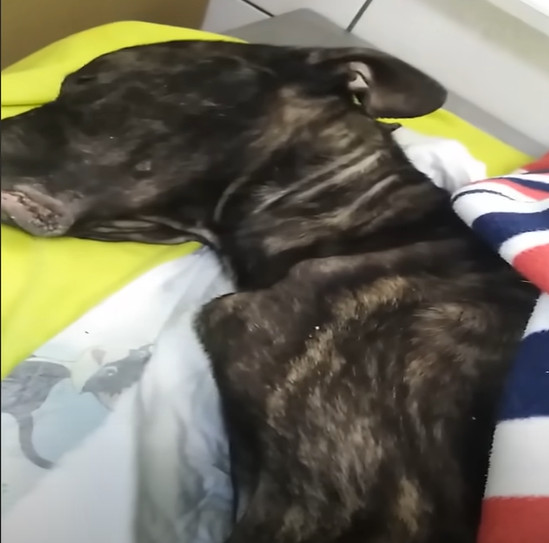 Weeks later, Hope's transformation was n...