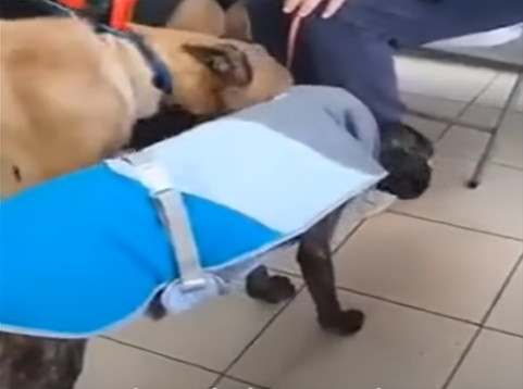 Extra image from article