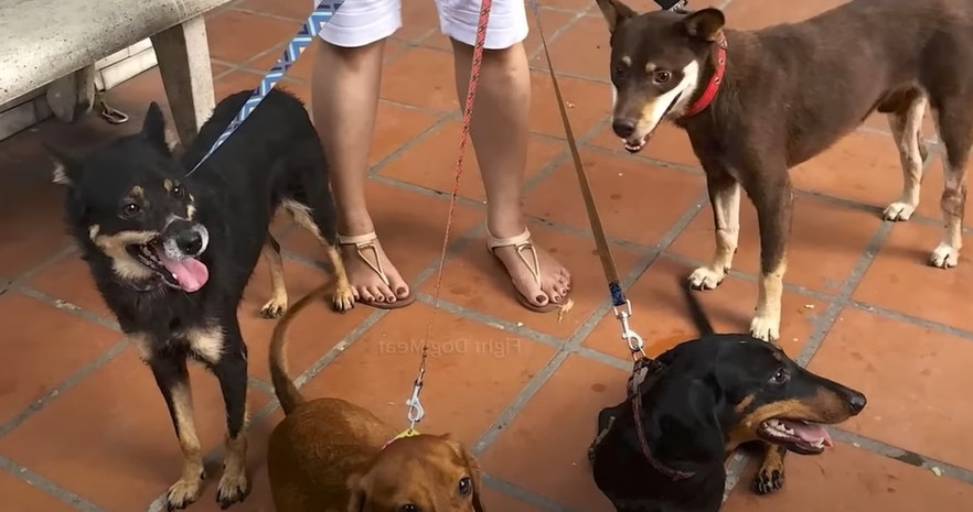 Extra image from article