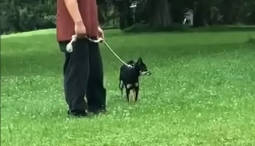 Extra image from article