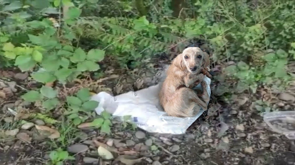 Her situation took a turn for the better...