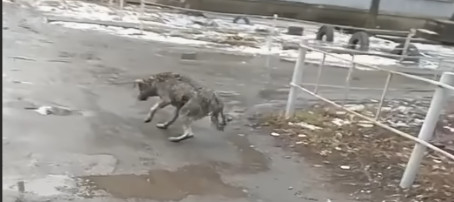 His path to recovery was challenging, re...