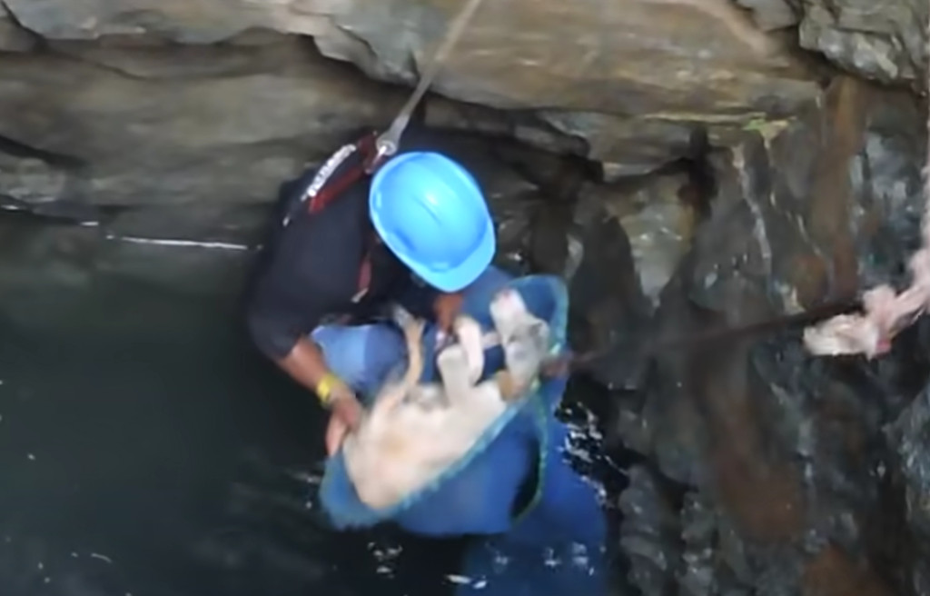 At last, through sheer perseverance, Max...