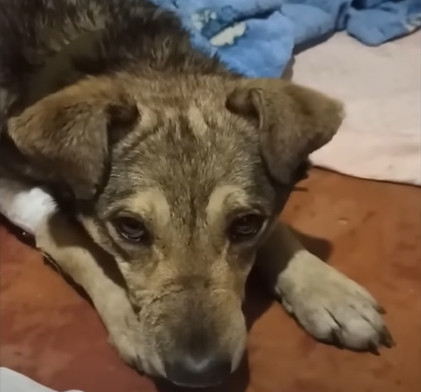 Extra image from article