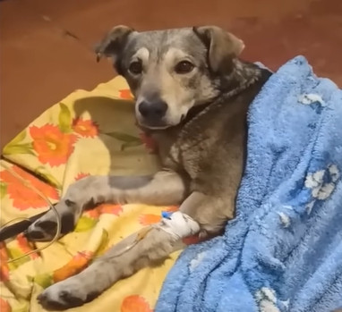 Extra image from article