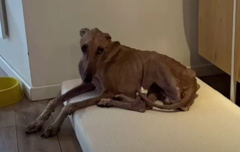 After providing some initial comfort, I ...