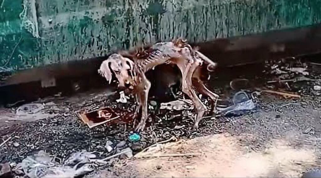 Every day, he wandered unnoticed through...