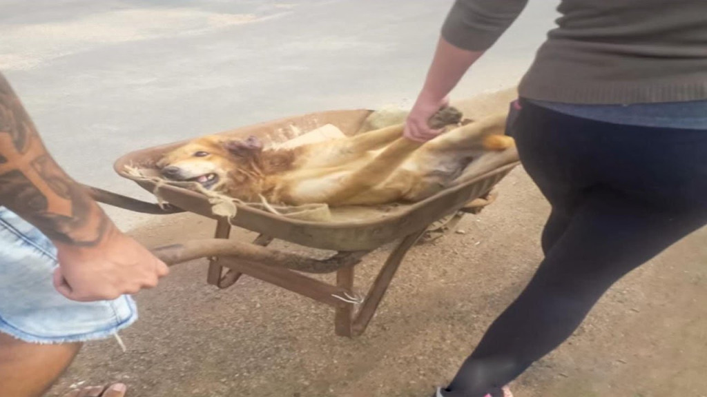 Thinking about the ordeal they went thro...