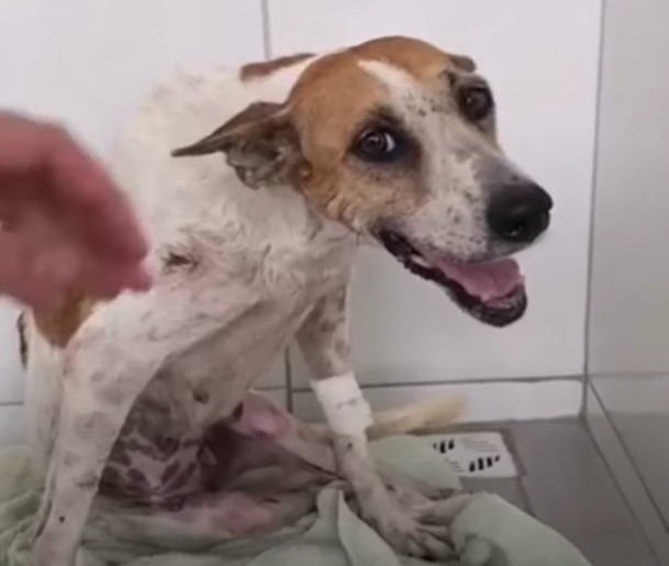 Bella's journey from despair to recovery...